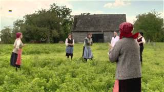 Paginademedia.ro Spoton Covalact De Tara Iaurt&Sana&Chefir