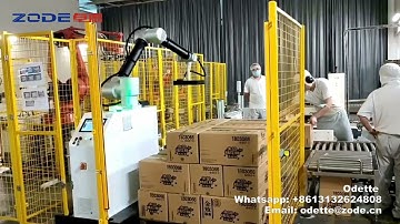 collaborative palletizing robot