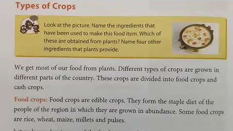 class-4 Next.Science Lesson-4 Kitchen to the field Part-3Types of Crops