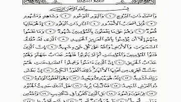 الشيخ أحمد محسن القحطاني - سورة البروج