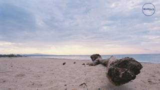 DownloadDe Cave Man, Enoo Napa - Mind Frequencies (Enoo Napa Afro-Tech Mix) MP3 MP4 De Cave Man, Enoo Napa - Mind Frequencies (Enoo Napa Afro-Tech Mix)