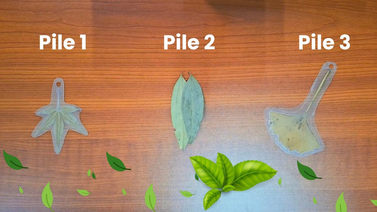 သင့်ဆီကို​ရောက်လာမှာက good news or bad news? 