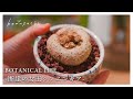 冬に眠る断崖の女王シンニンギア
