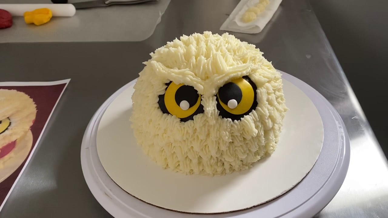 harry potter owl cake YouTube