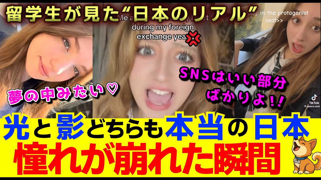 【海外の反応】海外の憧れが壊れた瞬間と、それでも日本を好きな理由。SNSでは絶対に見えない“日本の学校の光と影”　　#海外の反応 　#外国の反応　#世界の反応