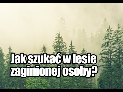 Wideo: Jak Szukać Zaginionej Osoby