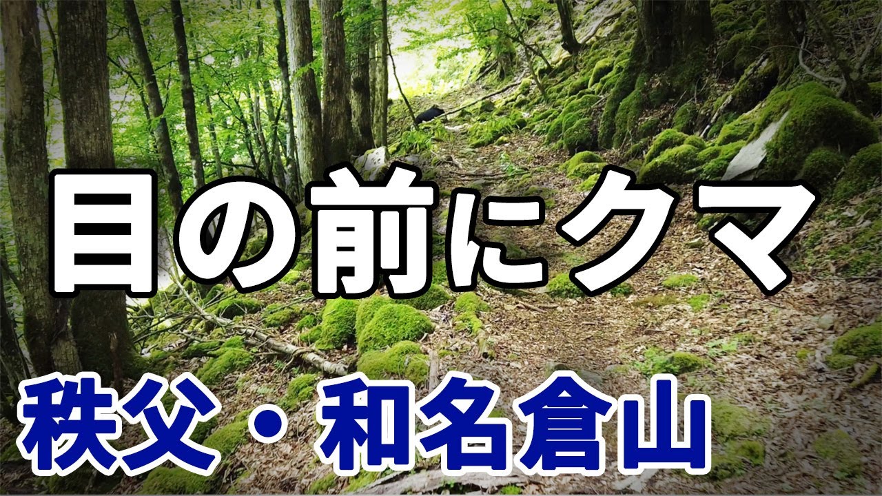埼玉でクマに遭遇｜秩父でツキノワグマが登山道に出没｜和名倉山で目の前に熊が現れた
