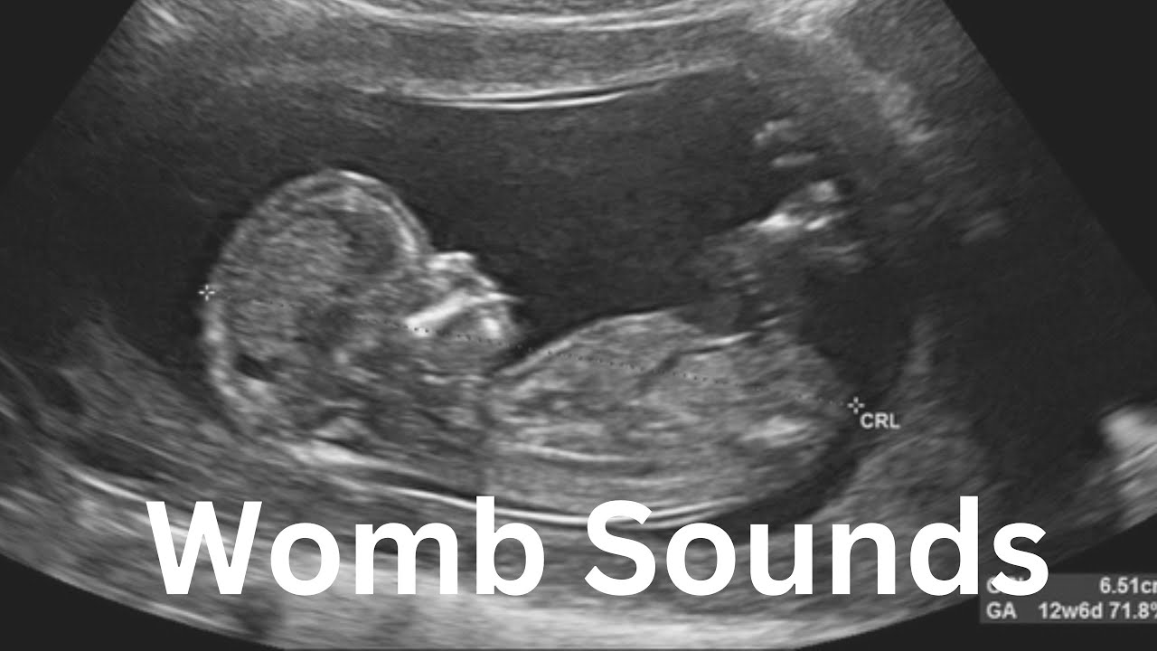 1 hour WOMB SOUNDS! Black Screen! No Ads! Sleep Baby, Calm Baby, Soothing sounds YouTube