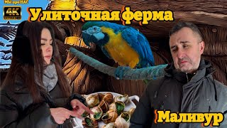 видео: Парк Улитка. Маливур картинка: Парк Улитка. Маливур