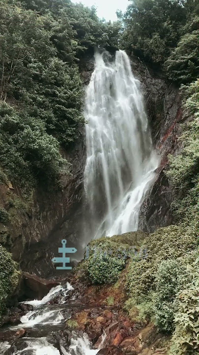 'Discovering Serenity: Mohini Waterfall near Adam's Peak, Nallathanniya, Sri Lanka' | #water #the358