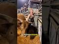 El toro más imponente #animals