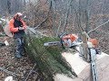 Abattage dun htre stihl 046av