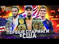 Мовсар Евлоев, Хасан и Хусейн Асхабовы на пути к вершине UFC.