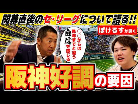 【開幕直後】阪神好調の3つの要因！今岡真訪が見る26年の虎の現状と躍動する“若虎”へメッセージ！【ぽけるすさんコラボ】