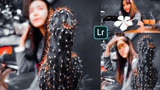 Moody Black Preset | FREE DOWNLOAD DNG ( no password ) | Orange & Moody Black Preset screenshot 2