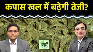 Agri Commodity : मौजूदा लेवल पर Cotton Seed Oilcake में कहां बन रहे ट्रेडिंग के मौके? NCDEX