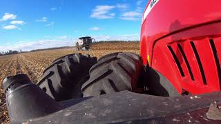 Corn Harvest at Elm Creek, MB by Gleaner S98 in 2021