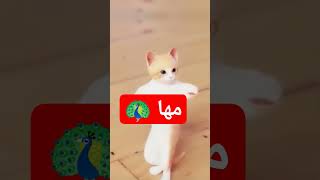 الاكتر طلبا.مهامها الجزائر العراق_السعودية_قطر_الامارات_الكويت_البحرين المغرب funny