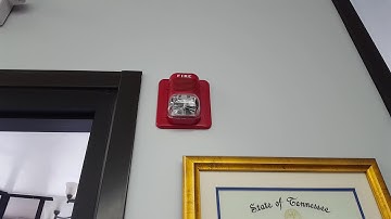 System Sensor Spectralert Classic With Fire-Lite BG-12