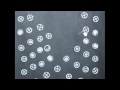 Chalk Ball video promo