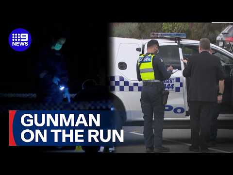 Gunman at large after daylight gangland hit | 9 News Australia