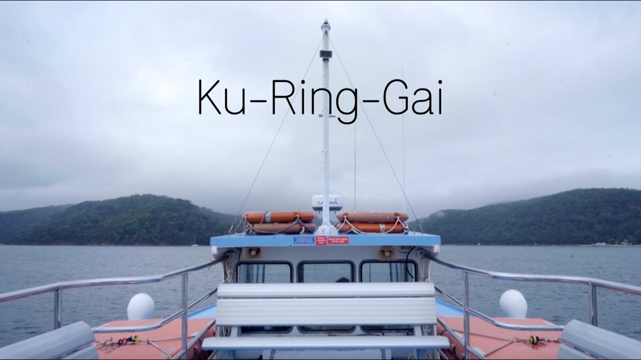 Ku Ring Gai National Park Mini-Doc
