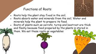 CLASS 4 SCIENCE -  Plants in the Surroundings and Environment