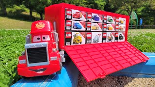 Toy Cars Box, Where is the Same Picture as a Miniature Car ? | Big Red Trailer Runs in the Park
