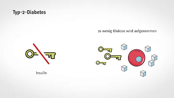 Wie bildet sich Insulin?