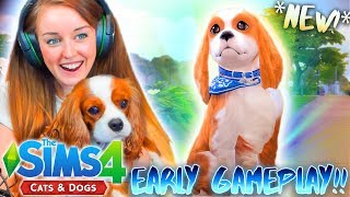 *NEW*  SIMS 4 CATS & DOGS! MAKING EEVEE!