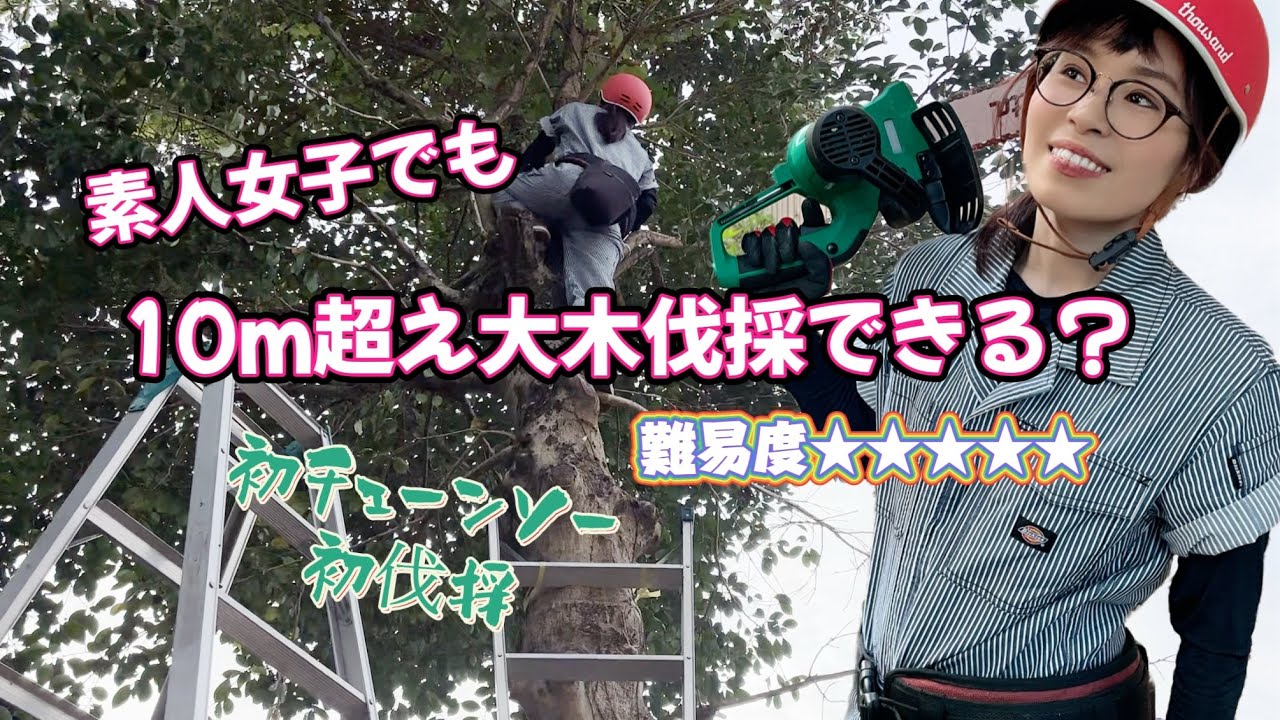 【素人DIY女子が初の大木伐採にチャレンジ】