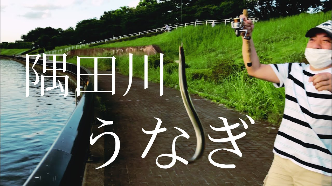 【土用の丑！うなぎ釣り！】隅田川！ここなら釣れます！