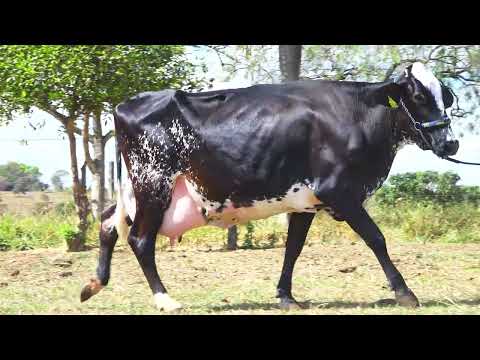 LOTE 16 9300 BW