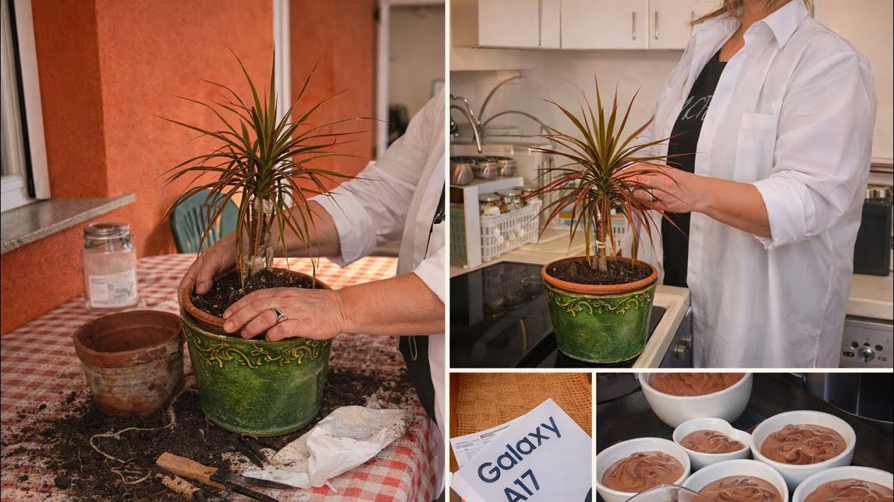 🌿 Sreća u jednostavnosti - Kako izgleda moj mirni dan kod kuće