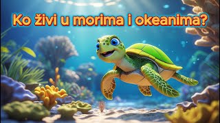 Ko Živi U Morima I Okeanima? Edukativni Crtani Za Decu