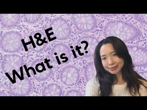Vídeo: Para que é usado o H&E?