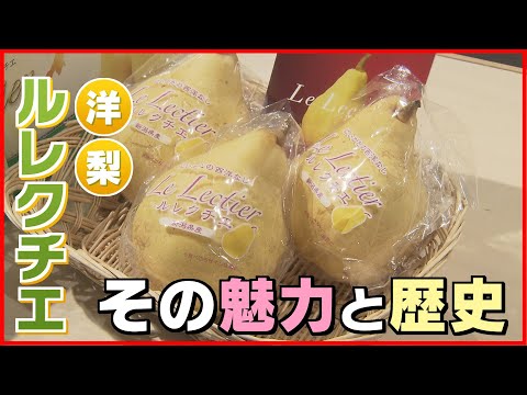 芳醇な甘い香り】フランス生まれ 新潟育ちの洋ナシ「ル レクチエ