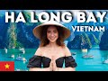 Ha long bay cruise in vietnam  is it worth your money our honest experience