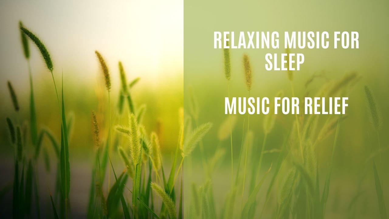 Relaxing music for sleep Music that relieves stress Quiet music Music for relief YouTube