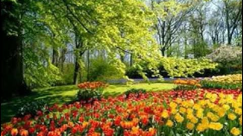 سوره العصر الشيخ بس لياسر عمار
