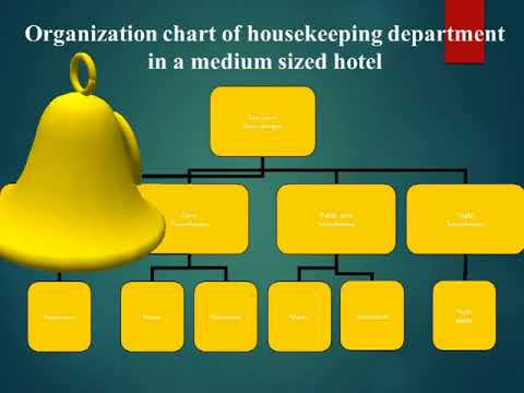 Organizational Chart Of Housekeeping Department