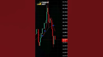 FXNext.net – AI-Powered Gold Trading Education Platform | Master XAU/USD with Real-Time AI Signals