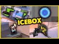 Icebox guide