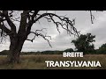 Breite, Transylvania (4K)