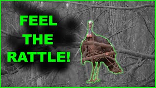EARTH SHAKING GOBBLING ACTION!!! | IN YOUR FACE! | GREAT TURKEY AUDIO!