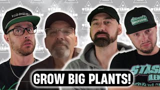 The Secret to Growing Huge Autoflower w/ Dave Baker - FTS Podcast Ep.245