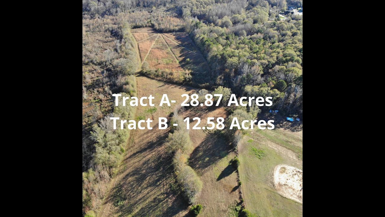 41+ Acres of Land In Wren School Area for Sale YouTube