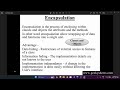 Encapsulation | Oops Concept | Aman Kesherwani