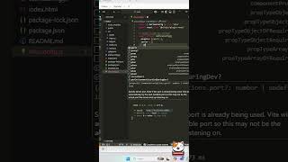 Vite Config: How to Change Vite React Apps the Default Port!