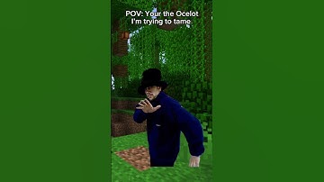when your trying to tame a Ocelot…#minecraft #minecraftmemes #meme